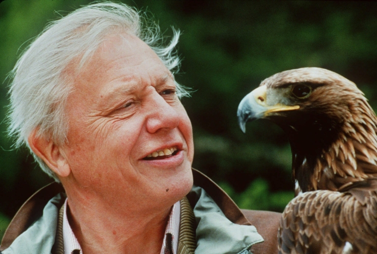 Attenborough biography